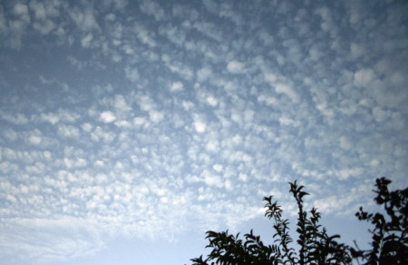 e0154682_22244918.jpg