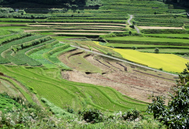 d0179983_19464054.jpg