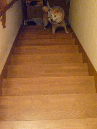 c0123890_2010240.jpg