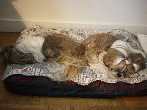 c0090198_2163667.jpg