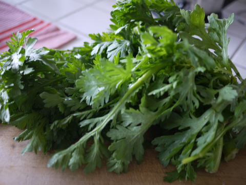 c0090198_2311631.jpg
