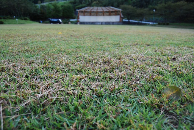f0210098_23463760.jpg