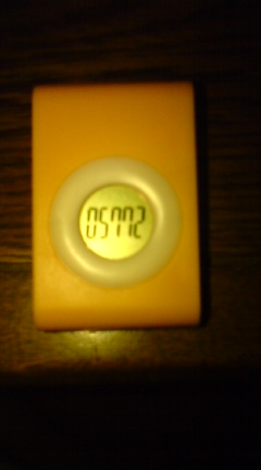 c0202101_011075.jpg