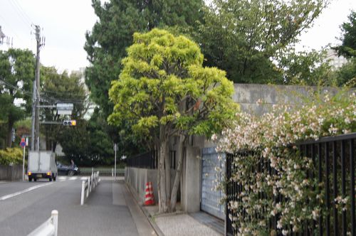 f0085501_214857.jpg