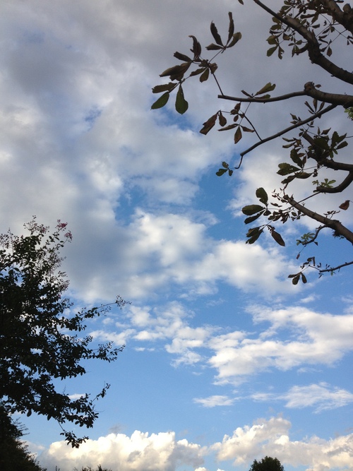 c0132608_17325392.jpg