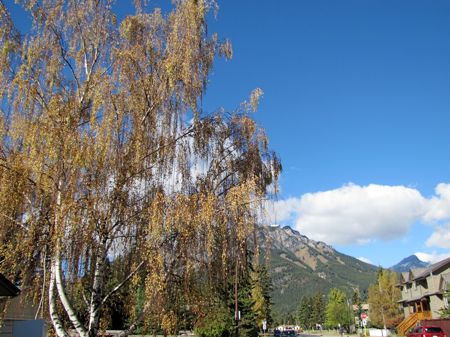 b0051109_9443195.jpg