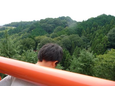 d0161919_10482613.jpg