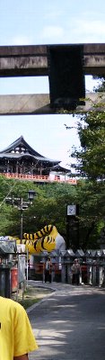 d0161919_1192911.jpg