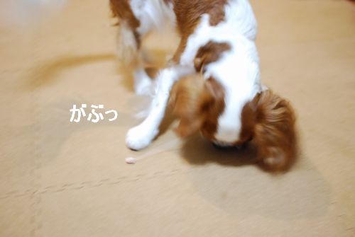 f0214121_2213969.jpg