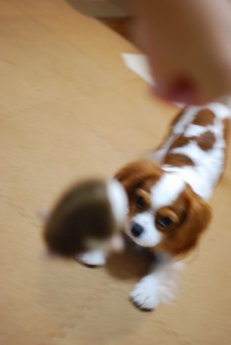 f0214121_2216235.jpg