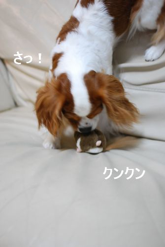 f0214121_2252434.jpg