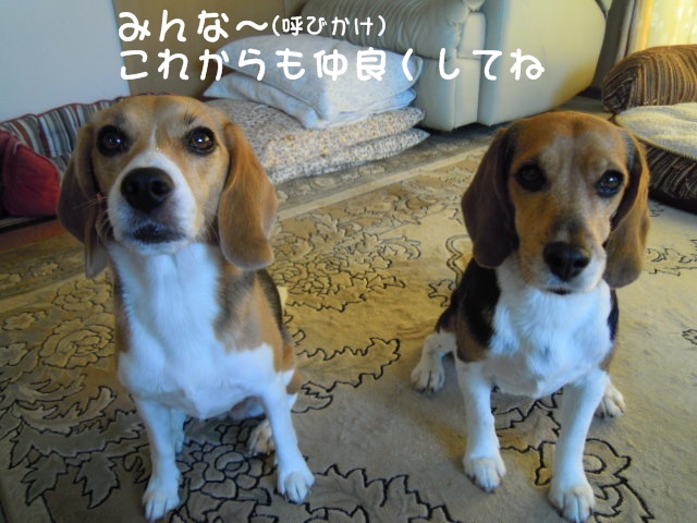 c0166622_15201650.jpg