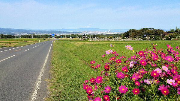 f0007926_10524616.jpg