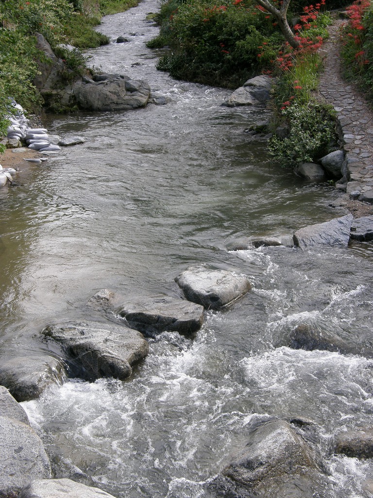 b0162728_2146165.jpg