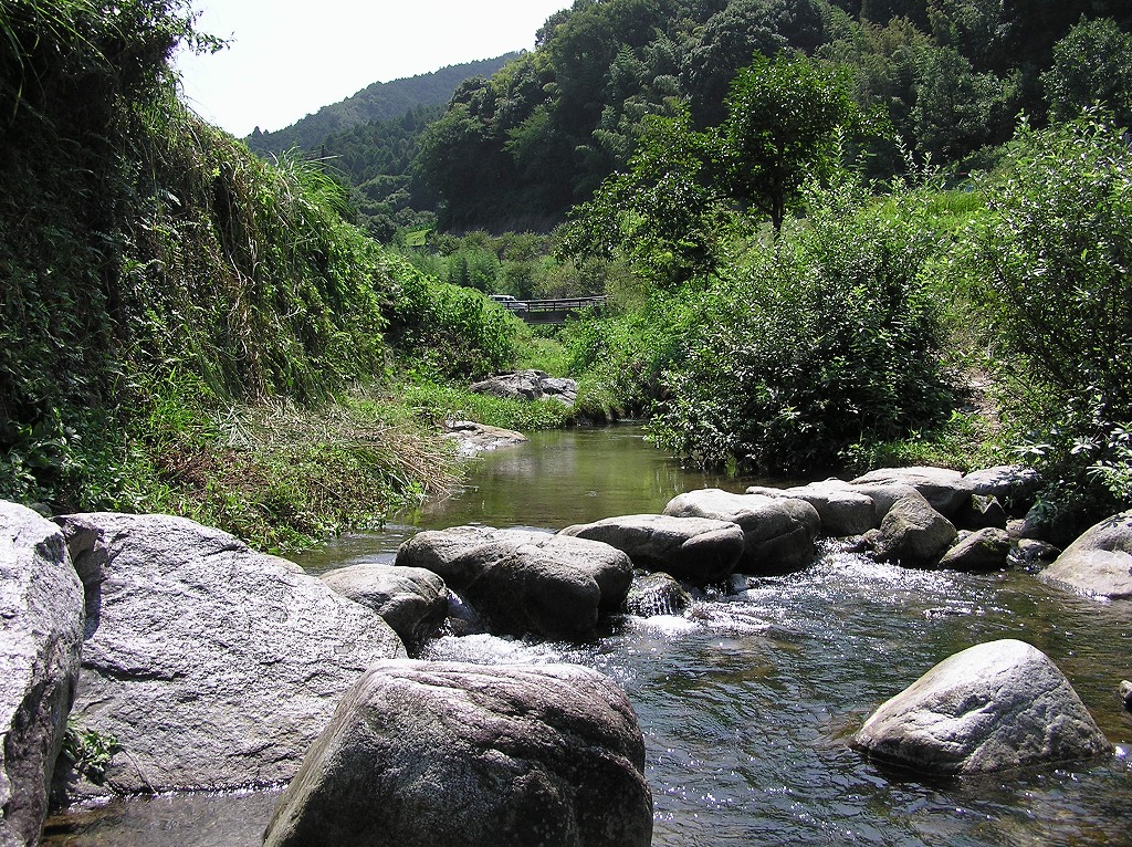 b0162728_2146862.jpg