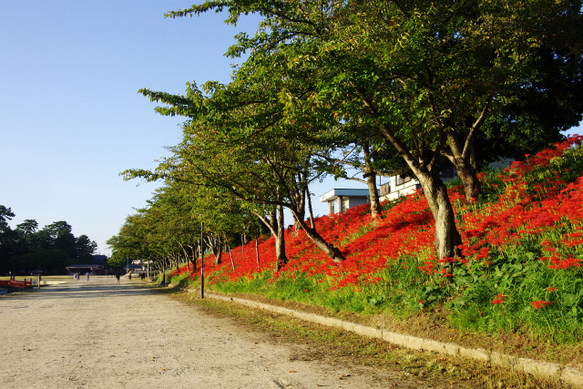 d0250028_1264350.jpg