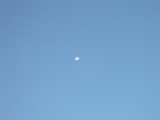 a0206332_8285682.jpg