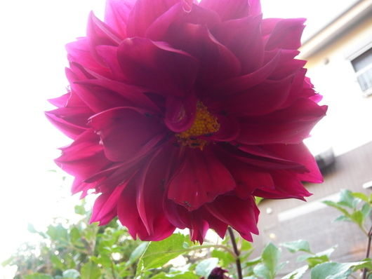 a0206332_8321680.jpg