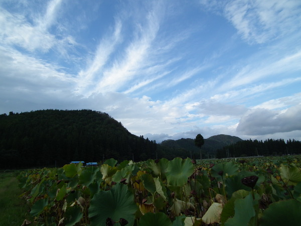 f0118332_19321787.jpg