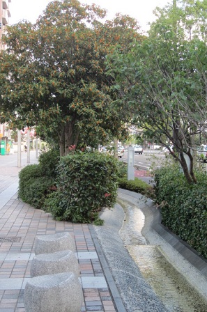 e0291638_1645287.jpg