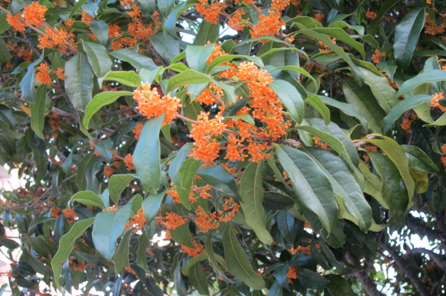 e0291638_16494013.jpg