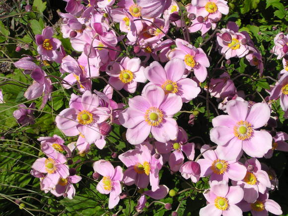 c0233141_11371945.jpg