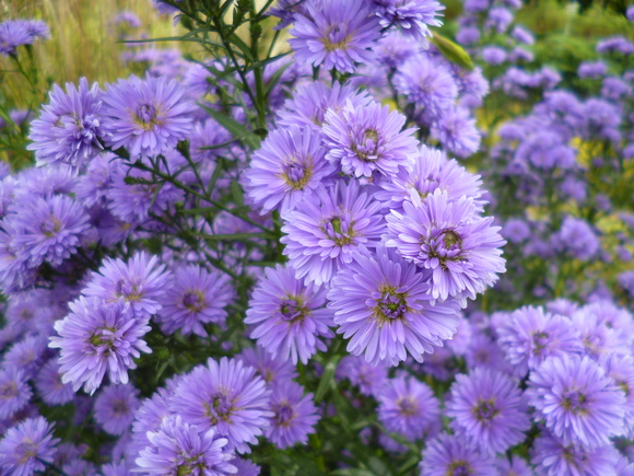c0233141_1151769.jpg