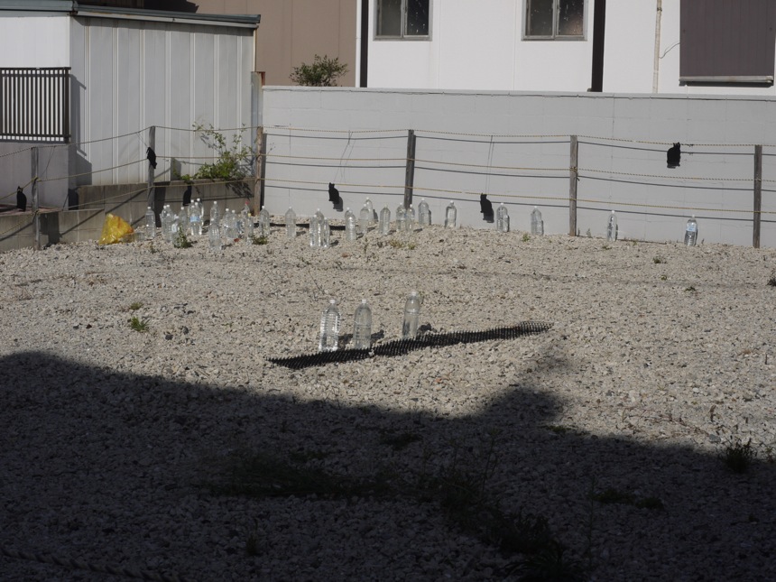 d0089742_2325238.jpg