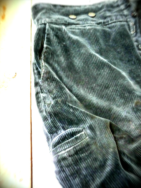 a0117545_15581684.jpg