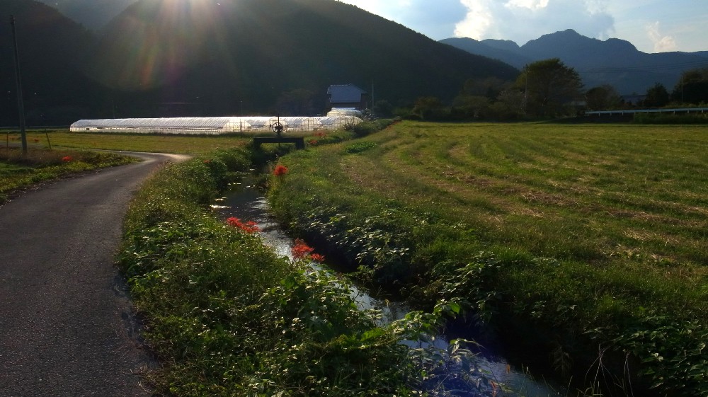 e0009147_20114166.jpg