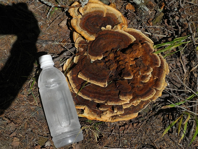 b0122448_1934784.jpg