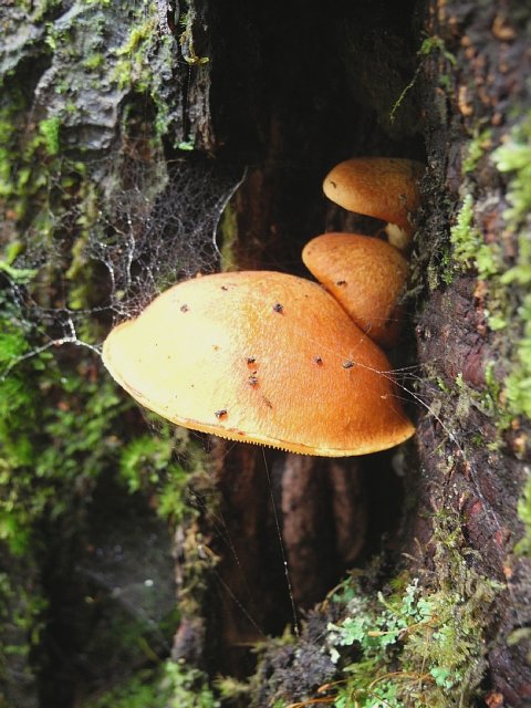b0122448_1941262.jpg