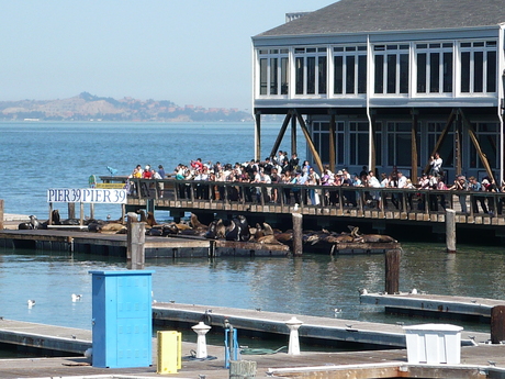c0245349_3264818.jpg