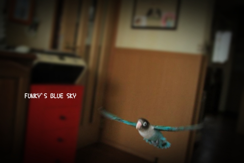 c0145250_19535995.jpg