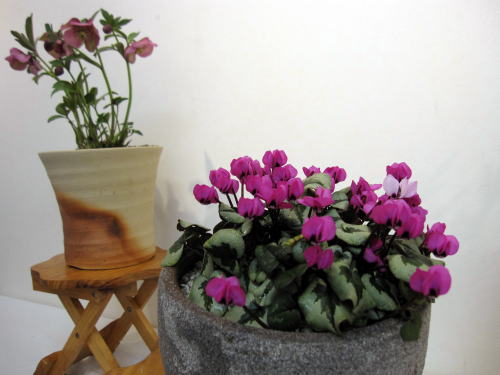 c0147952_17525243.jpg