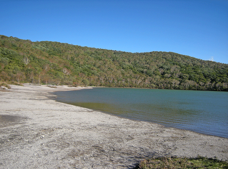 a0001354_2213666.gif