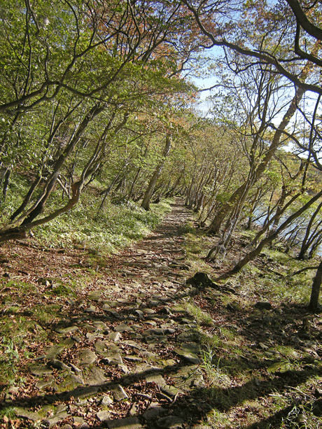 a0001354_22222666.gif