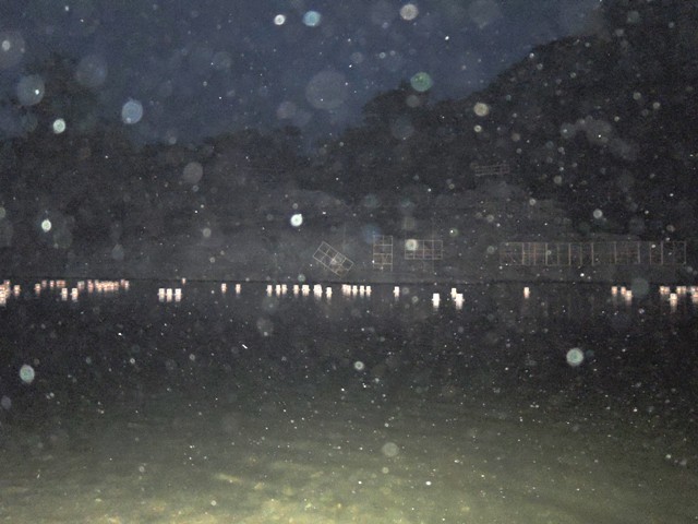 b0173754_11522640.jpg