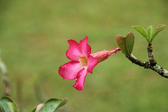 b0242358_21205432.jpg