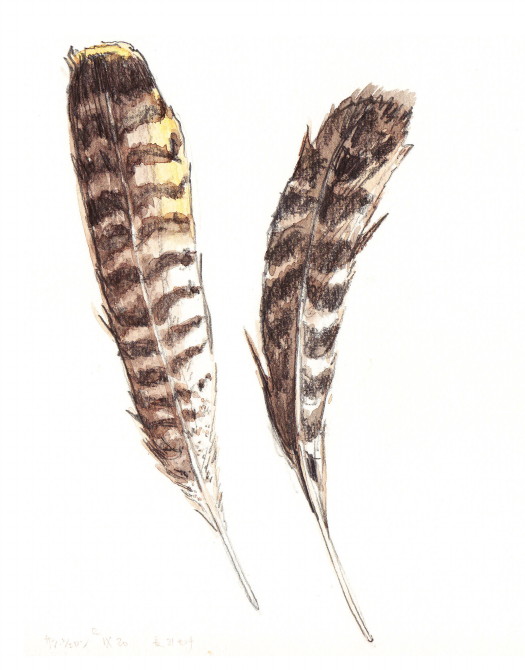 e0073964_1123924.jpg