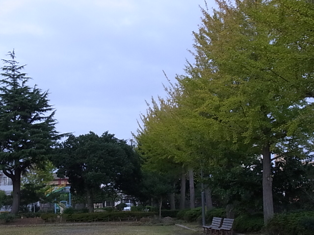 e0208965_15285455.jpg