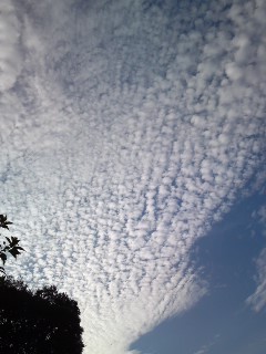 e0136066_184228.jpg