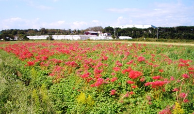 d0239667_12142360.jpg