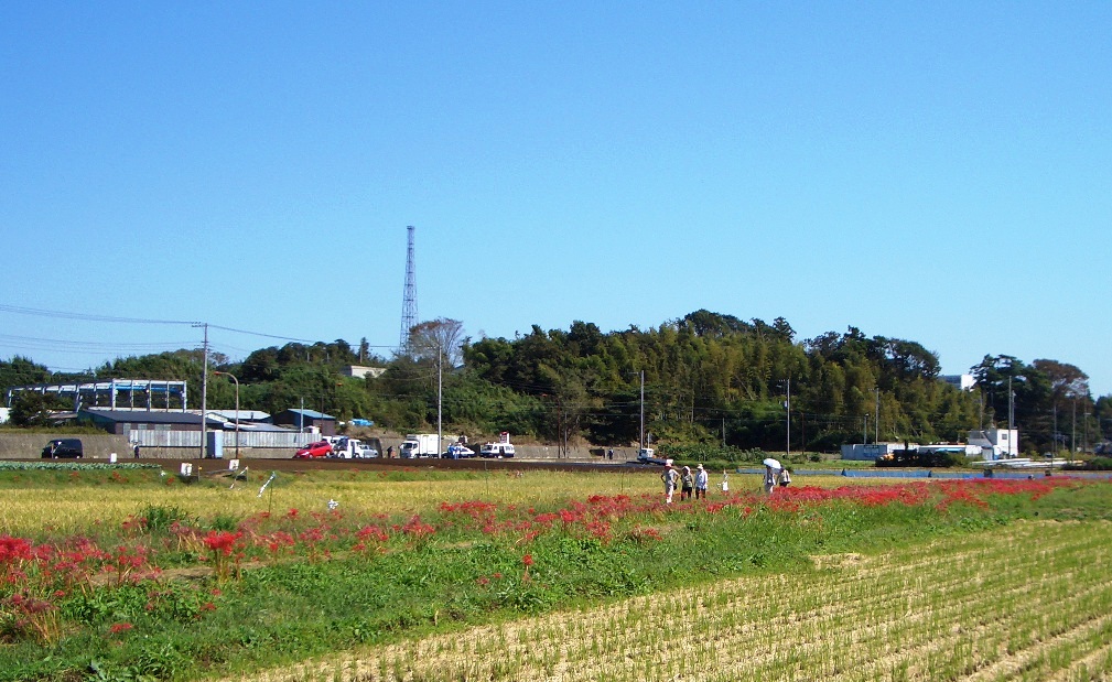 d0239667_12172341.jpg