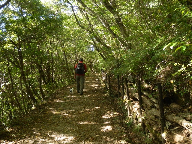 c0042869_1915583.jpg