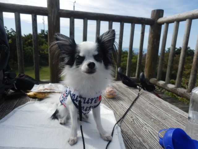 c0042869_19174311.jpg