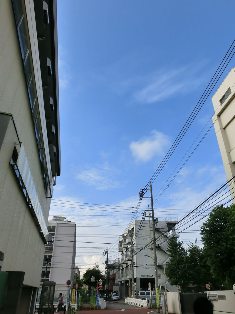 d0215369_22572577.jpg