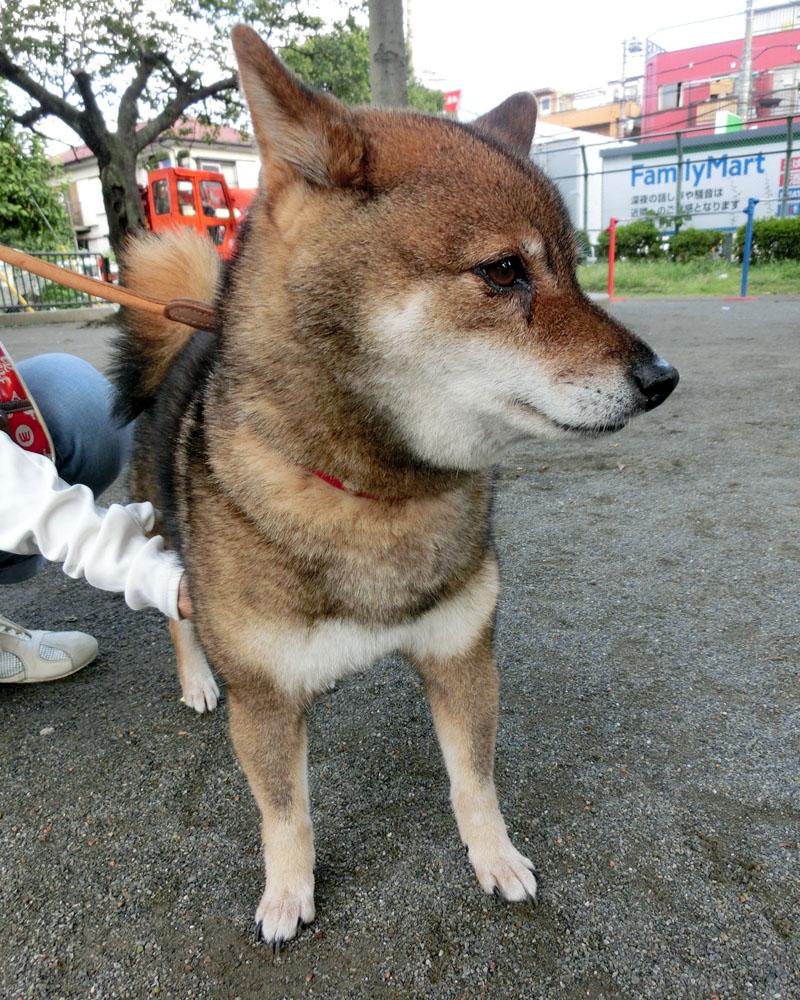d0215369_2334342.jpg