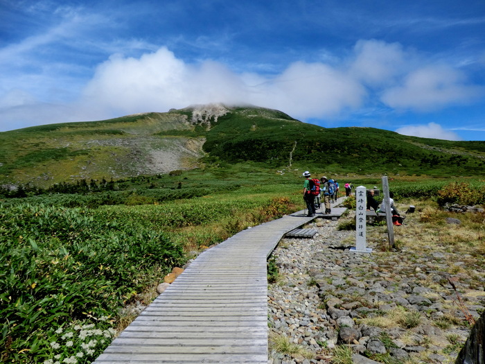 b0185573_10272354.jpg