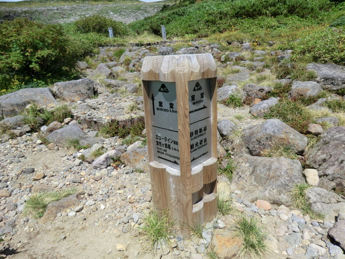 b0185573_10341237.jpg